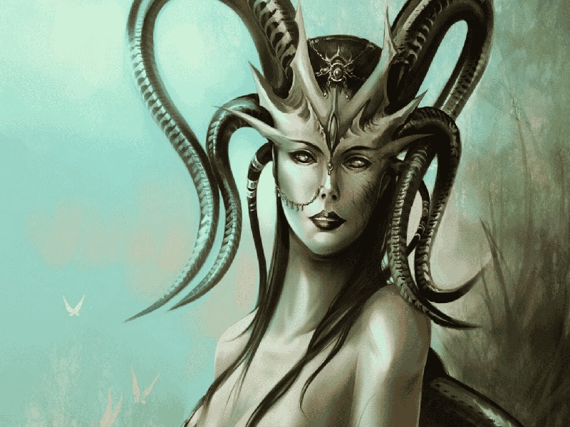 杨女士成功案例