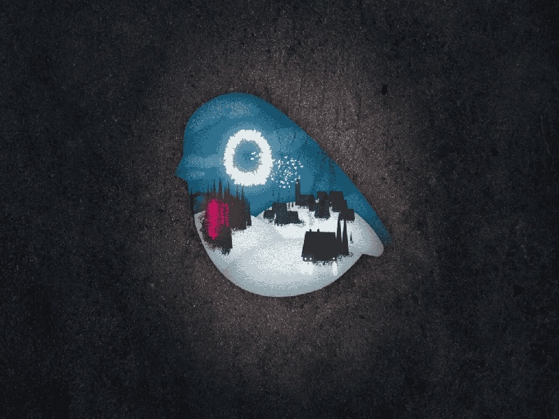 刘女士成功案例